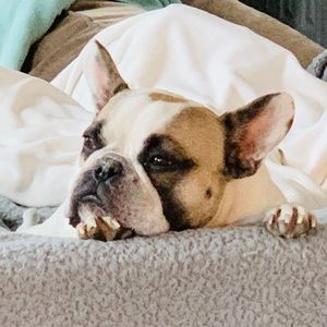 Meet your Posher, Eppie